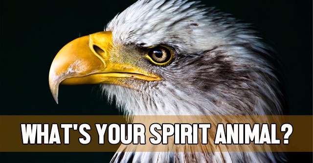 What’s Your Spirit Animal?