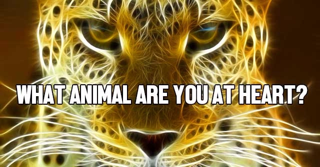 What Animal Are You At Heart?