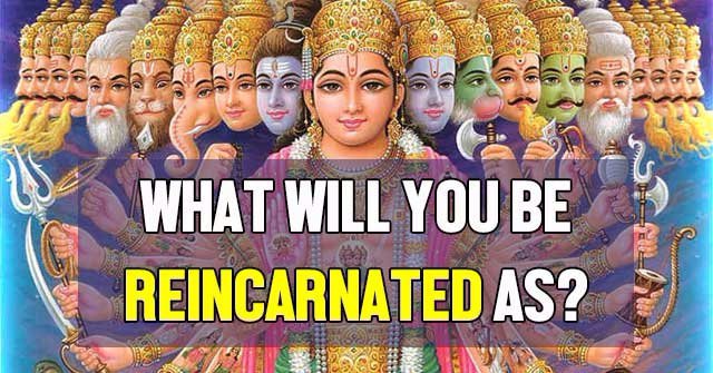 What Will You Be Reincarnated As?