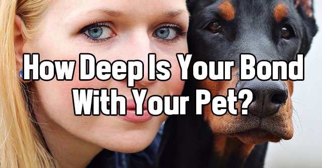 How Deep Is Your Bond With Your Pet?