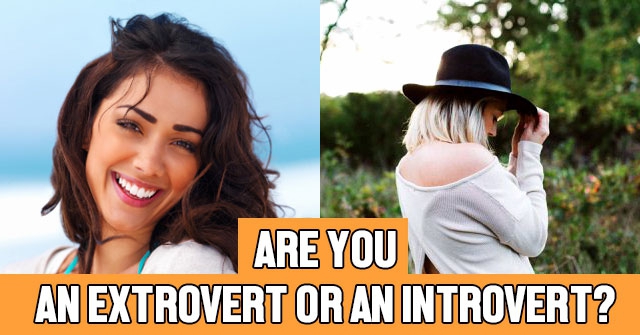 Are You An Extrovert or an Introvert?