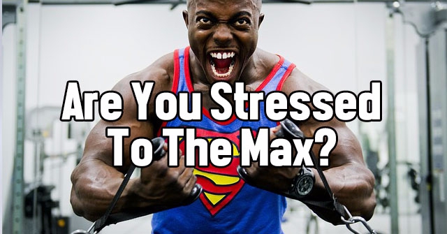 Are You Stressed To The Max?