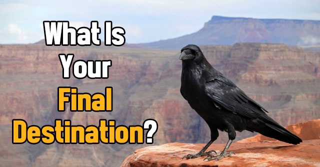 What Is Your Final Destination?
