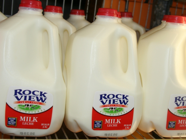 What type of milk is your favorite?