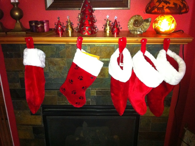 Do you believe you deserve coal in your stocking?