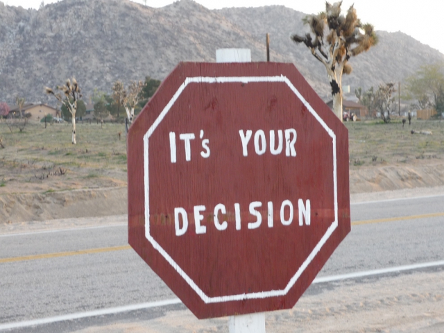 When making a decision, how often do you require a second opinion?