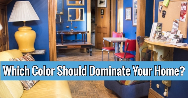 Which Color Should Dominate Your Home?