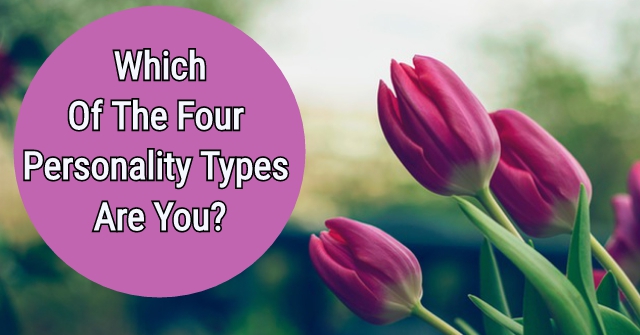 Which Of The Four Personality Types Are You?