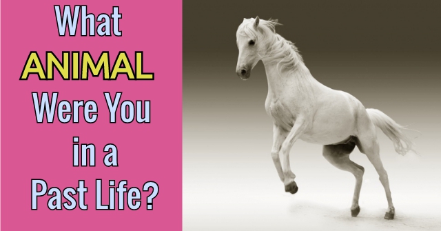 What Animal Were You in a Past Life?