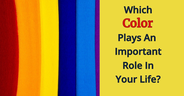 Which Color Plays Important Role In Your Life?
