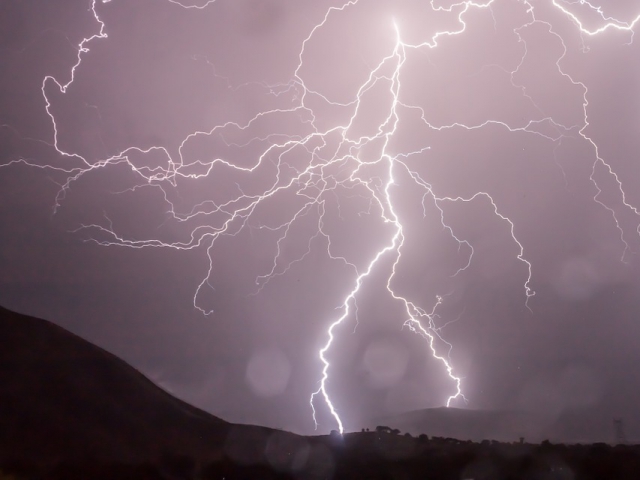 If lightening strikes an orchestra, who is most likely to get hit?