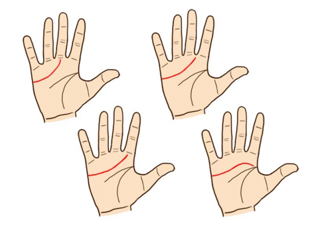 Using your dominant hand, find your heart line. Your heart line: