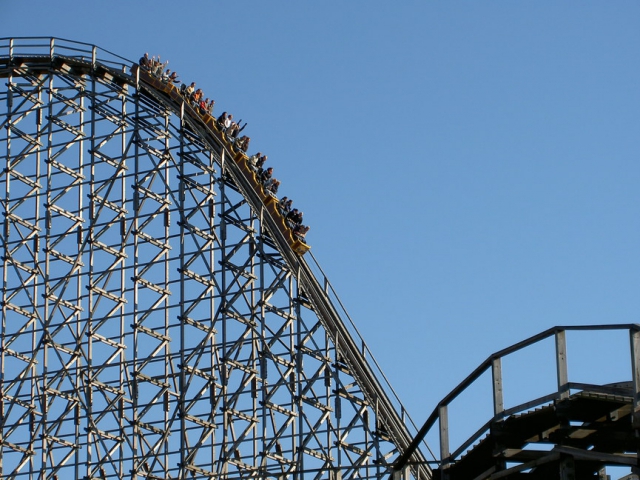 What do you do if you are at an amusement park and you see a ride that looks fun?