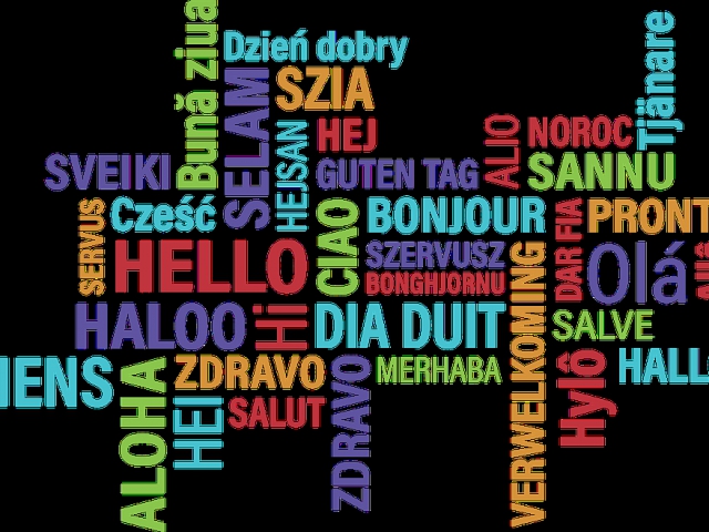 Are you open to learning a new language?