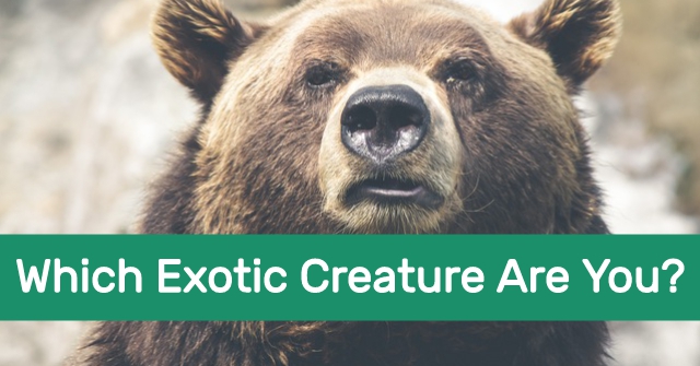 Which Exotic Creature Are You?