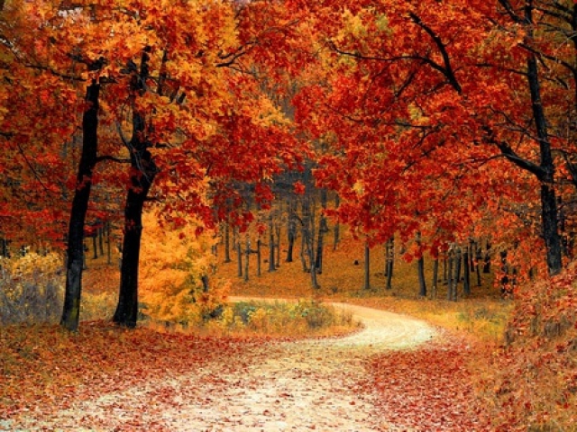 What do you like most about fall?
