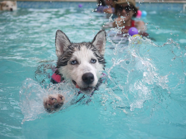 Do you always shower before entering a public pool?