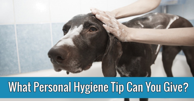 What Personal Hygiene Tip Can You Give?
