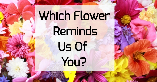 Which Flower Reminds Us Of You?