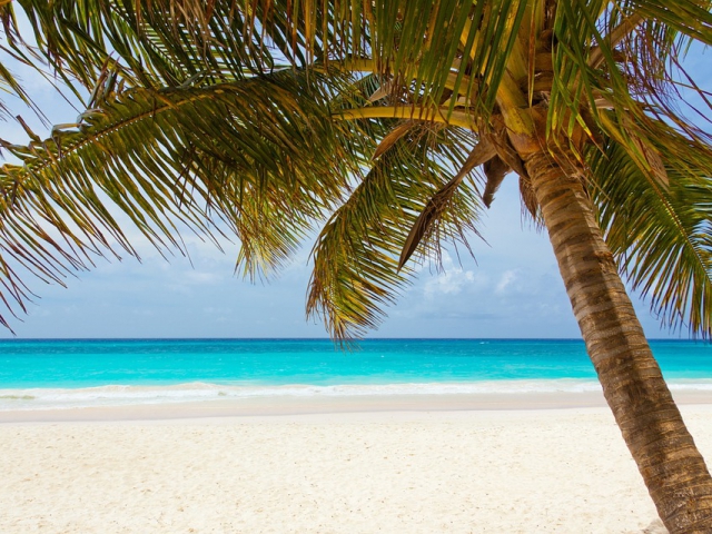 What would be your first priority after landing on a desert island?