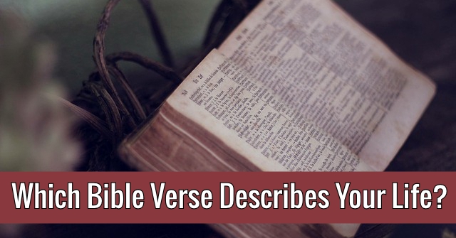 Which Bible Verse Describes Your Life?