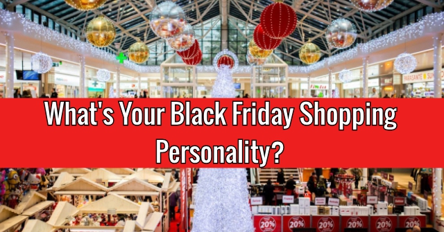 What’s Your Black Friday Shopping Personality?