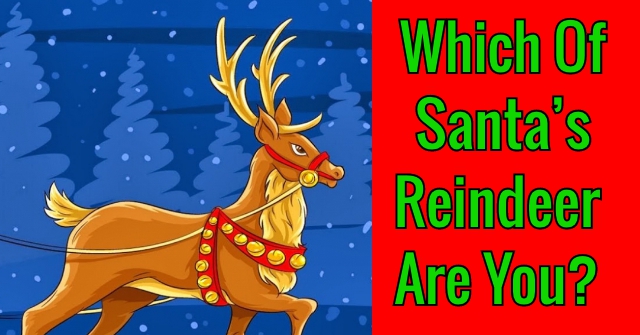Which Of Santa’s Reindeer Are You?