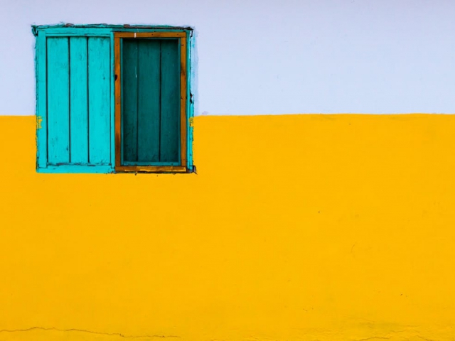 Which color in this photo makes you feel cheerful?
