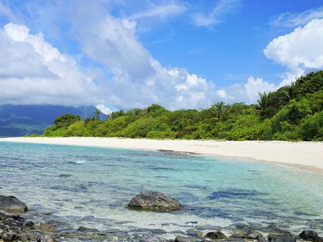 What one item you take on a deserted island?