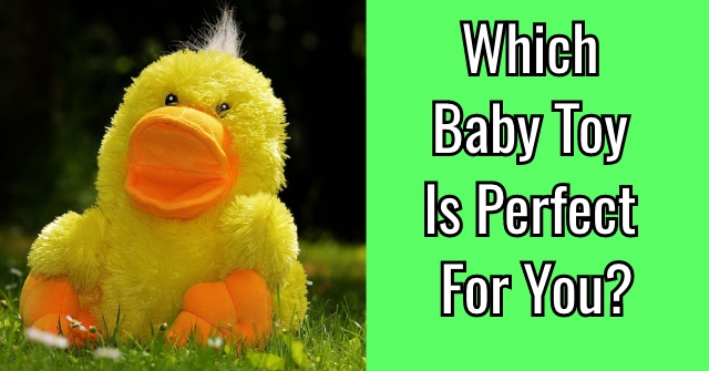 Which Baby Toy Is Perfect For You?