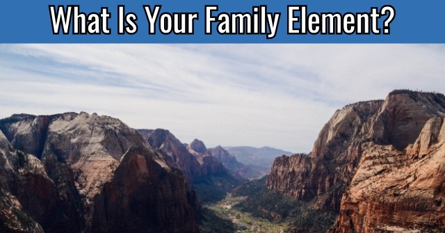 What Is Your Family Element?