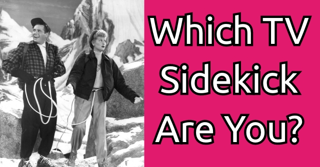 Which TV Sidekick Are You?