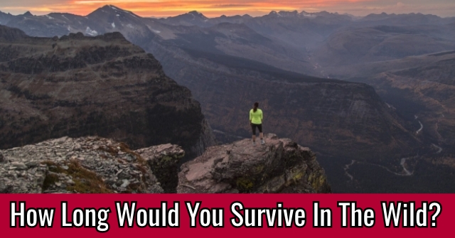 How Long Would You Survive In The Wild?