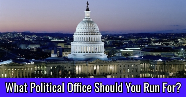 What Political Office Should You Run For?