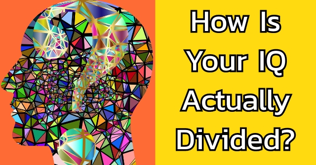 How Is Your IQ Actually Divided?