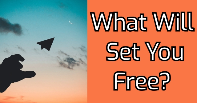 What Will Set You Free?