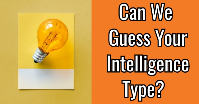Can We Guess Your Intelligence Type?