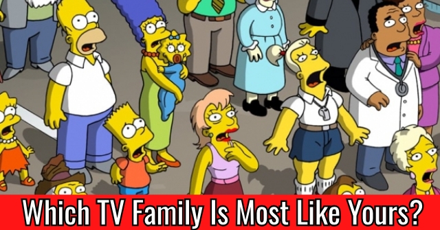 Which TV Family Is Most LIke Yours?