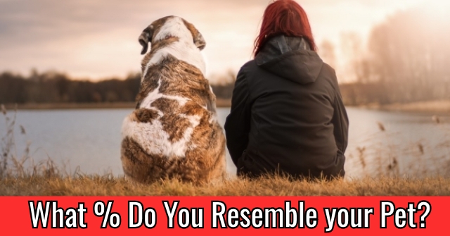 What % Do You Resemble your Pet?