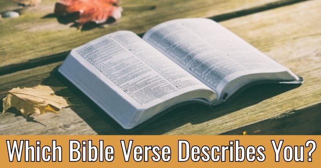 Which Bible Verse Describes You?