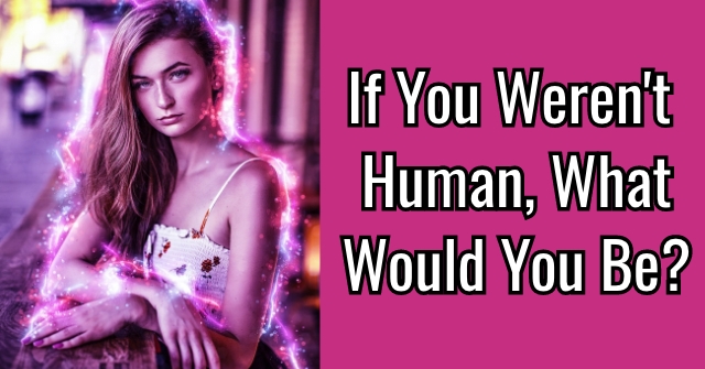 If You Weren’t Human, What Would You Be?